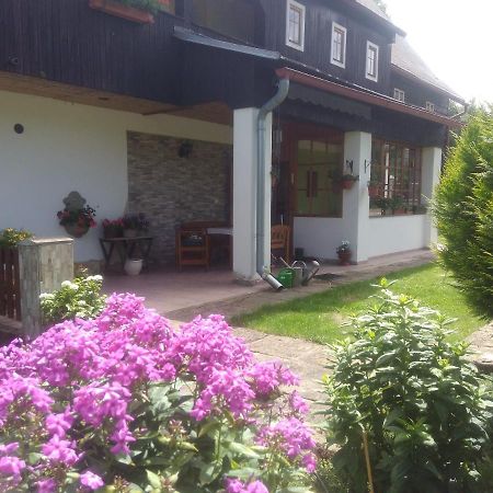 Ubytovani U Sviraku Srbská Kamenice Exterior photo