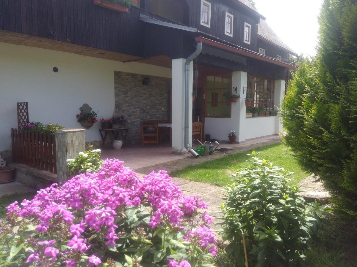 Ubytovani U Sviraku Srbská Kamenice Exterior photo